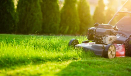 Lawn Care Services