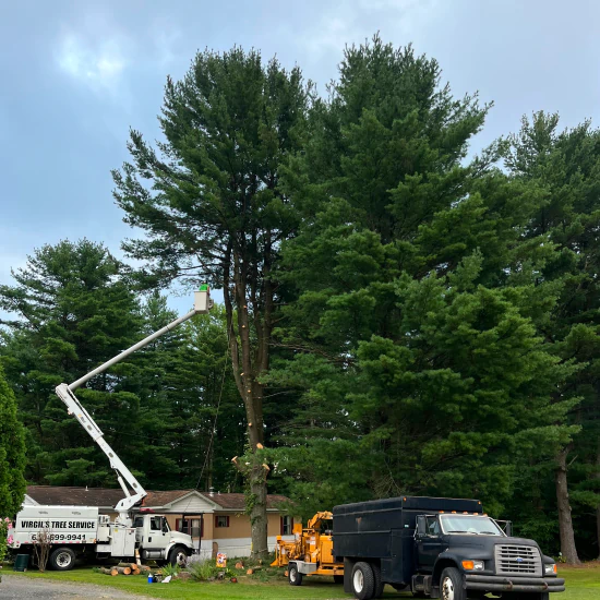 Virgil's Tree Service a