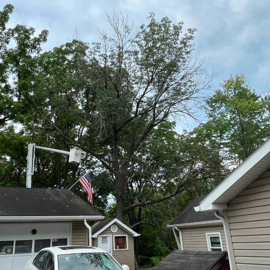 Virgil's Tree Service c