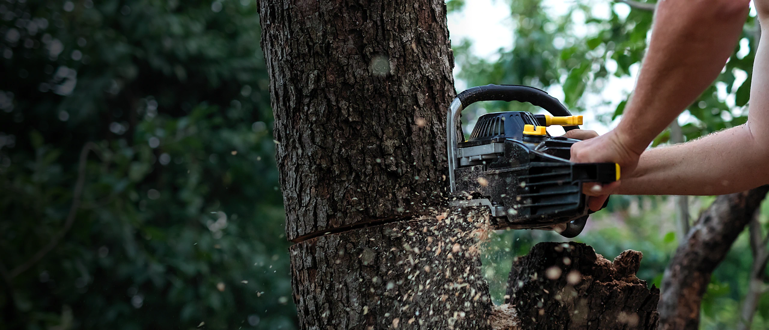 Virgil's Tree Service hero 3